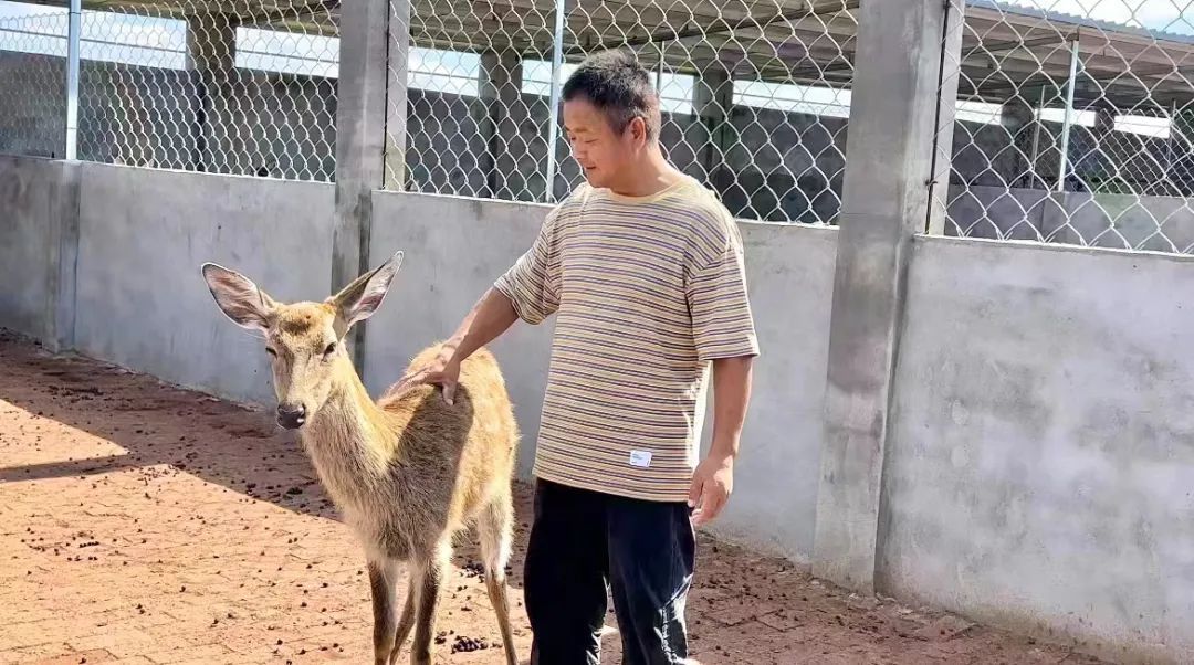 威尼斯人搏彩
